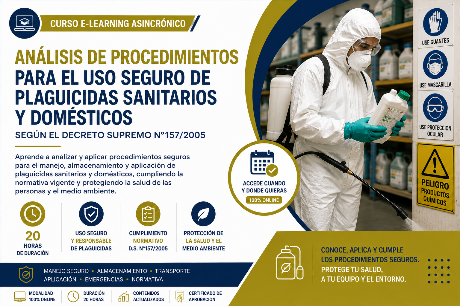 Análisis de procedimientos para el uso seguro de plaguicidas sanitarios y domésticos según el Decreto Supremo N°157/2005